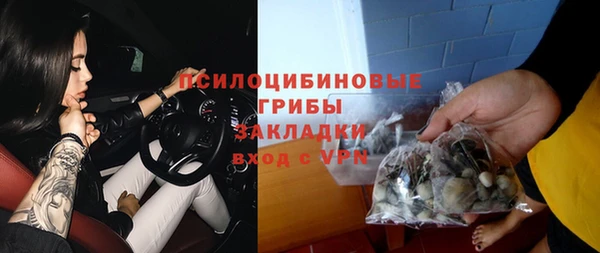 скорость Чекалин