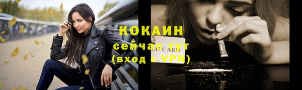 дживик Богданович