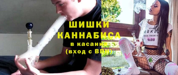 соль ск Бородино