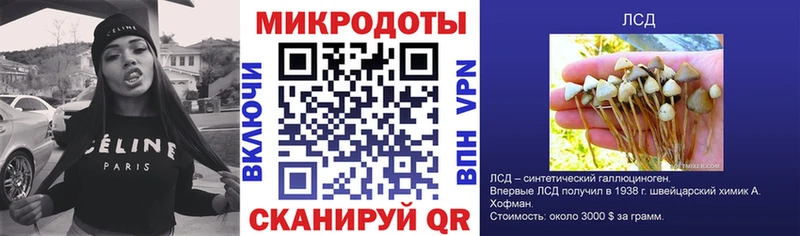 Купить где  Нариманов  Галлюциногенные грибы Psilocybine cubensis 